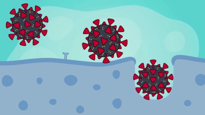 Bien chung nCoV toi te nhat anh 1