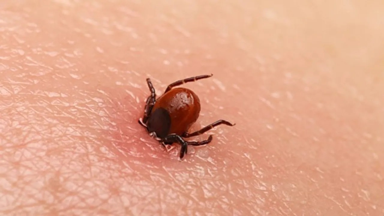 Tu vong sau khi khoc ra mau o Tay Ban Nha hinh anh