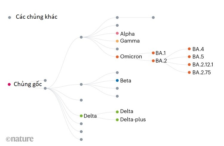 Bien chung moi anh 1