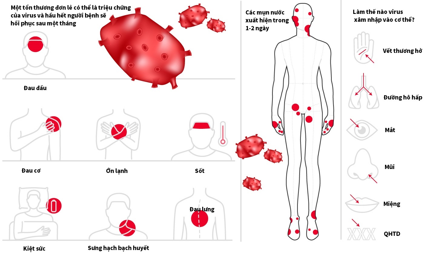 chung dau mua khi moi anh 1