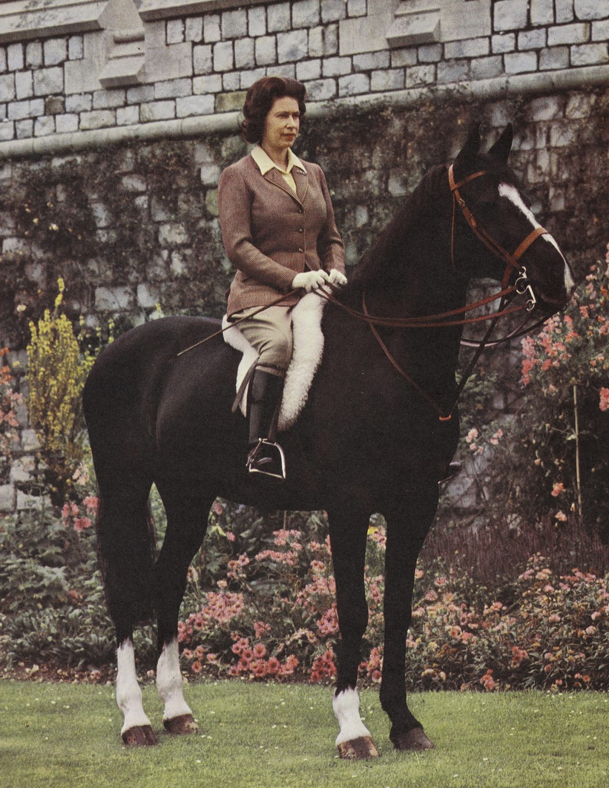 Nu hoang Anh qua doi anh 2