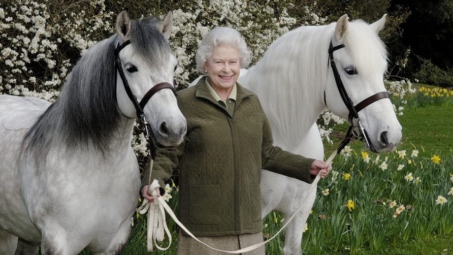 Thu vui tu nam 3 tuoi den luc gia cua Nu hoang Elizabeth II hinh anh