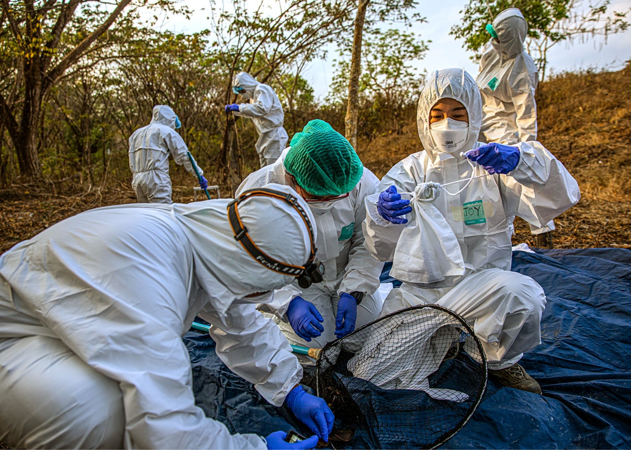 Phat hien virus bi an giong SARS-CoV-2 o Nga hinh anh