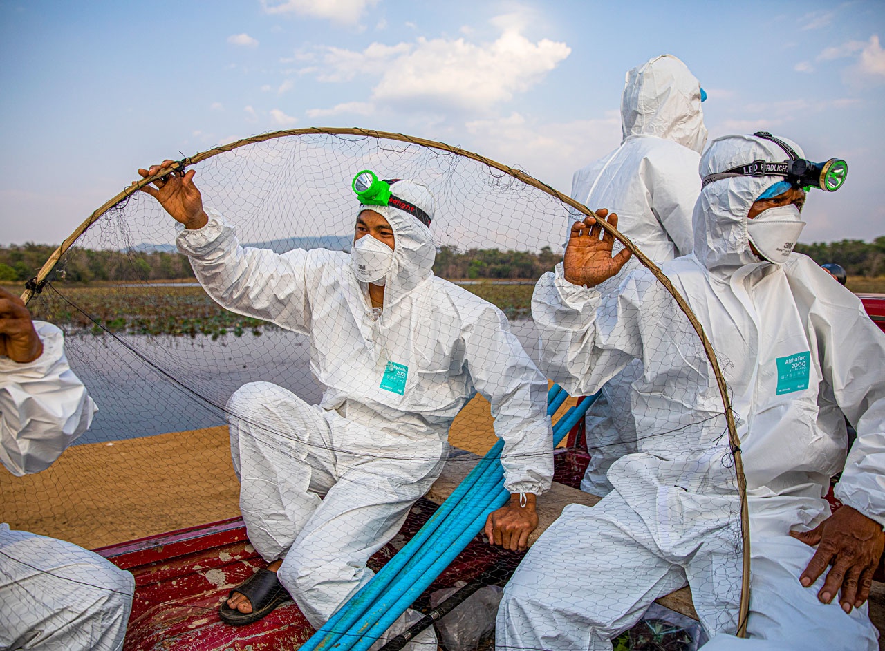 virus bi an giong SARS-CoV-2 anh 2