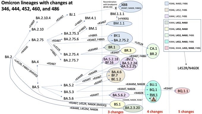 bien chung Covid-19 anh 1