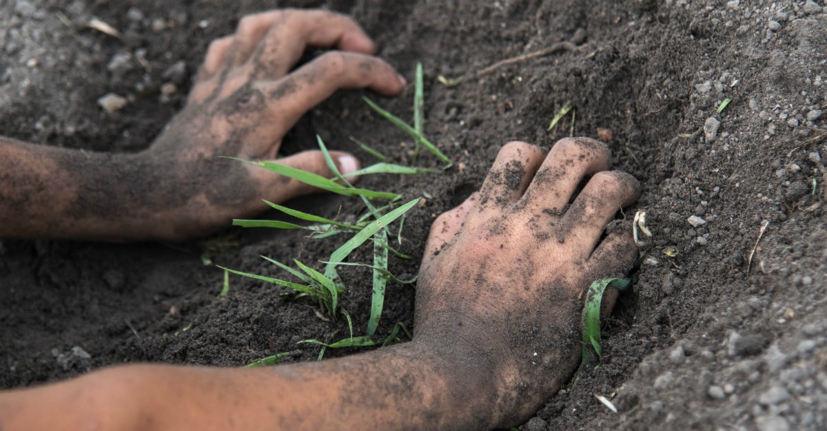 Chu dong phong benh Whitmore o tre sau lu hinh anh
