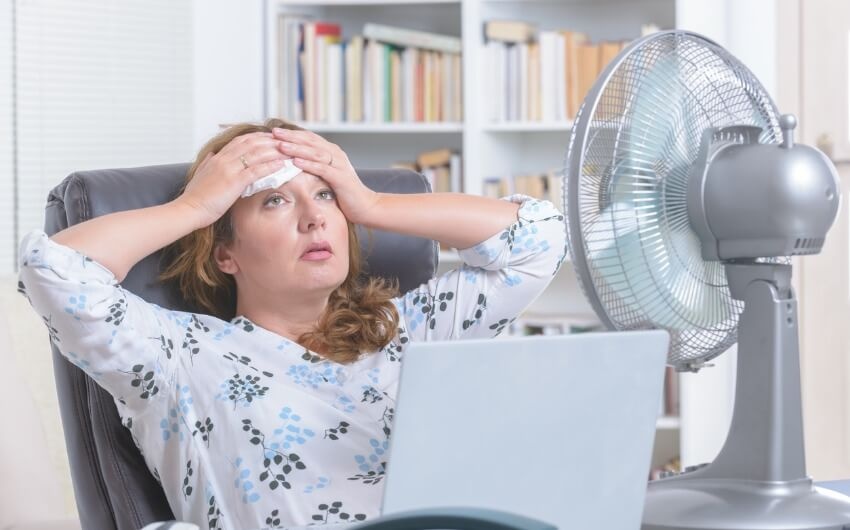 Meo lam mat co the khi troi nang nong hinh anh