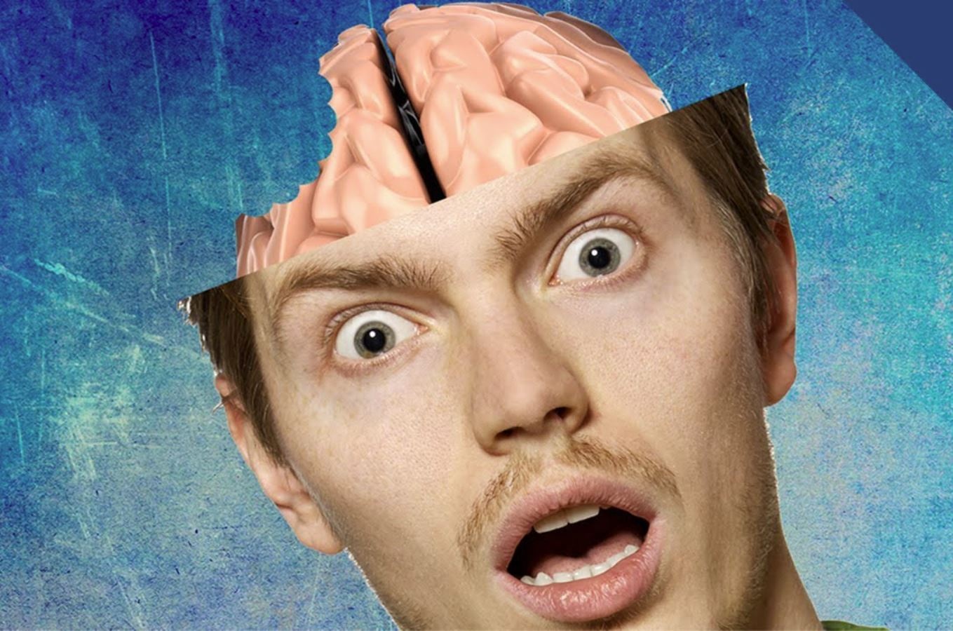 Ky sinh trung dang so nhat Trai Dat co the an nao nguoi hinh anh