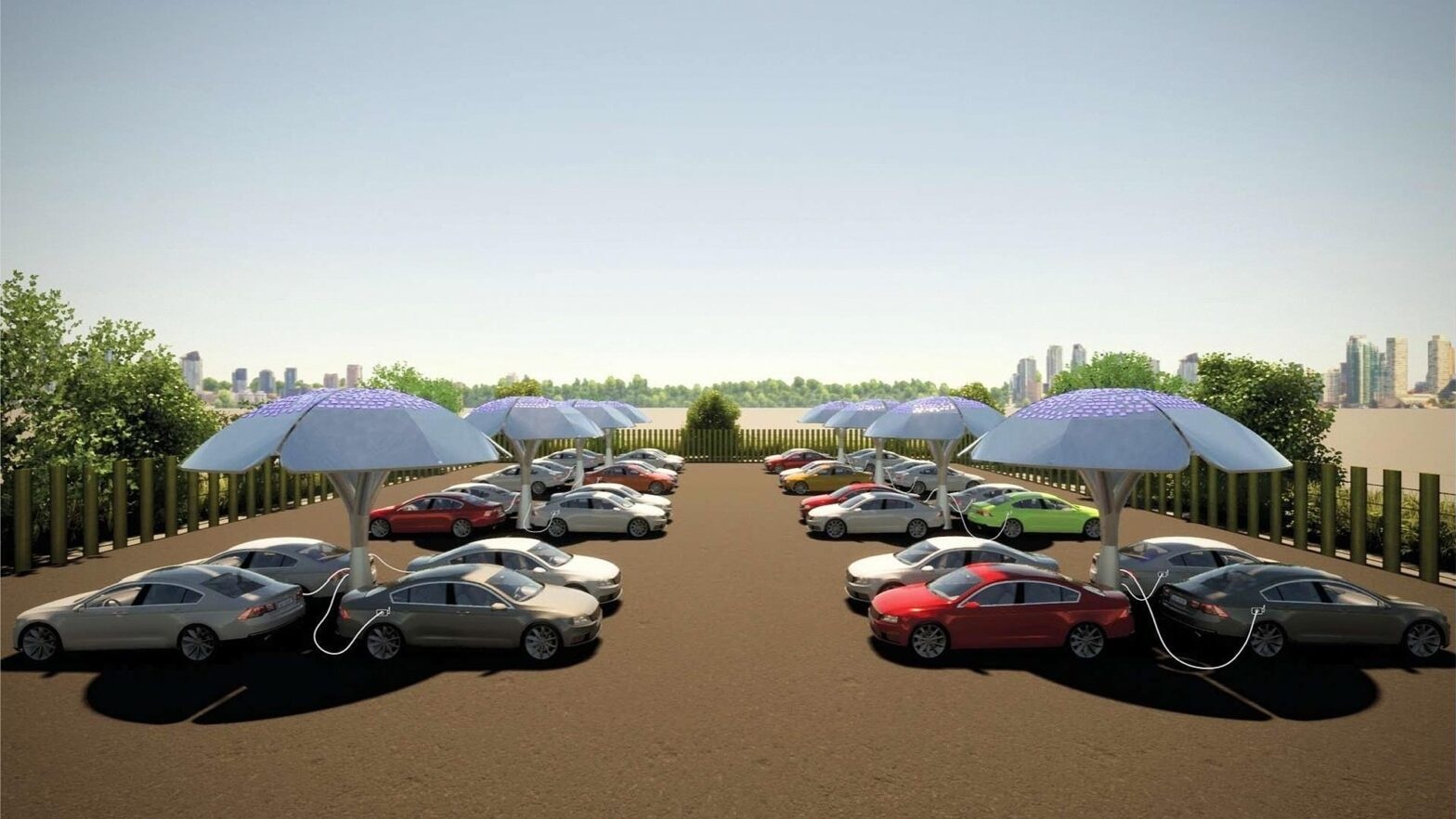 Cay nang luong Mat Troi co gi dac biet? hinh anh