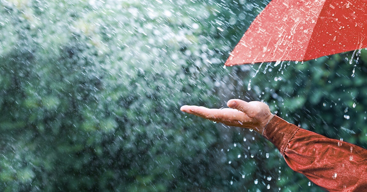 Giot mua co hinh gi? hinh anh