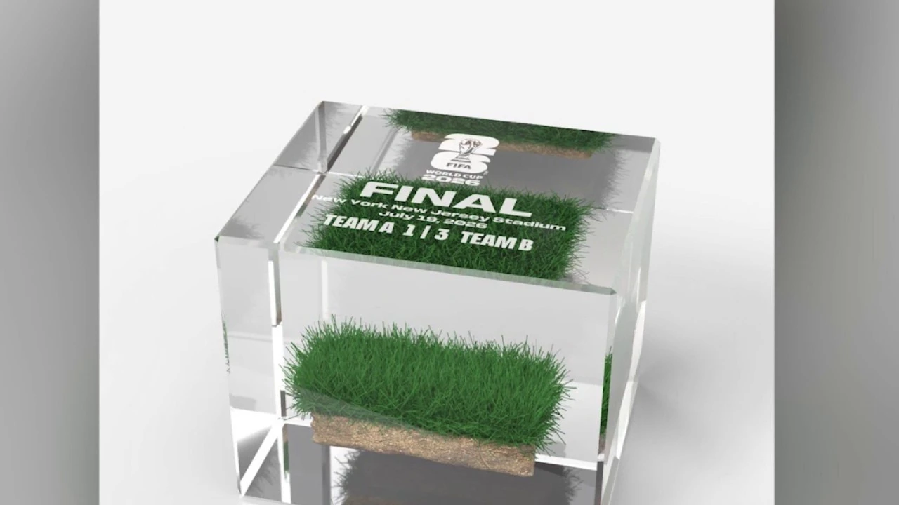 FIFA ảnh 2