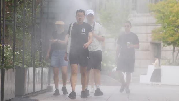 sư tử ảnh 7 sư tử ảnh 7