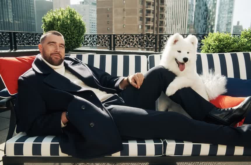 Chú chó bên Taylor Swift gây sốt, Samoyed được săn đón