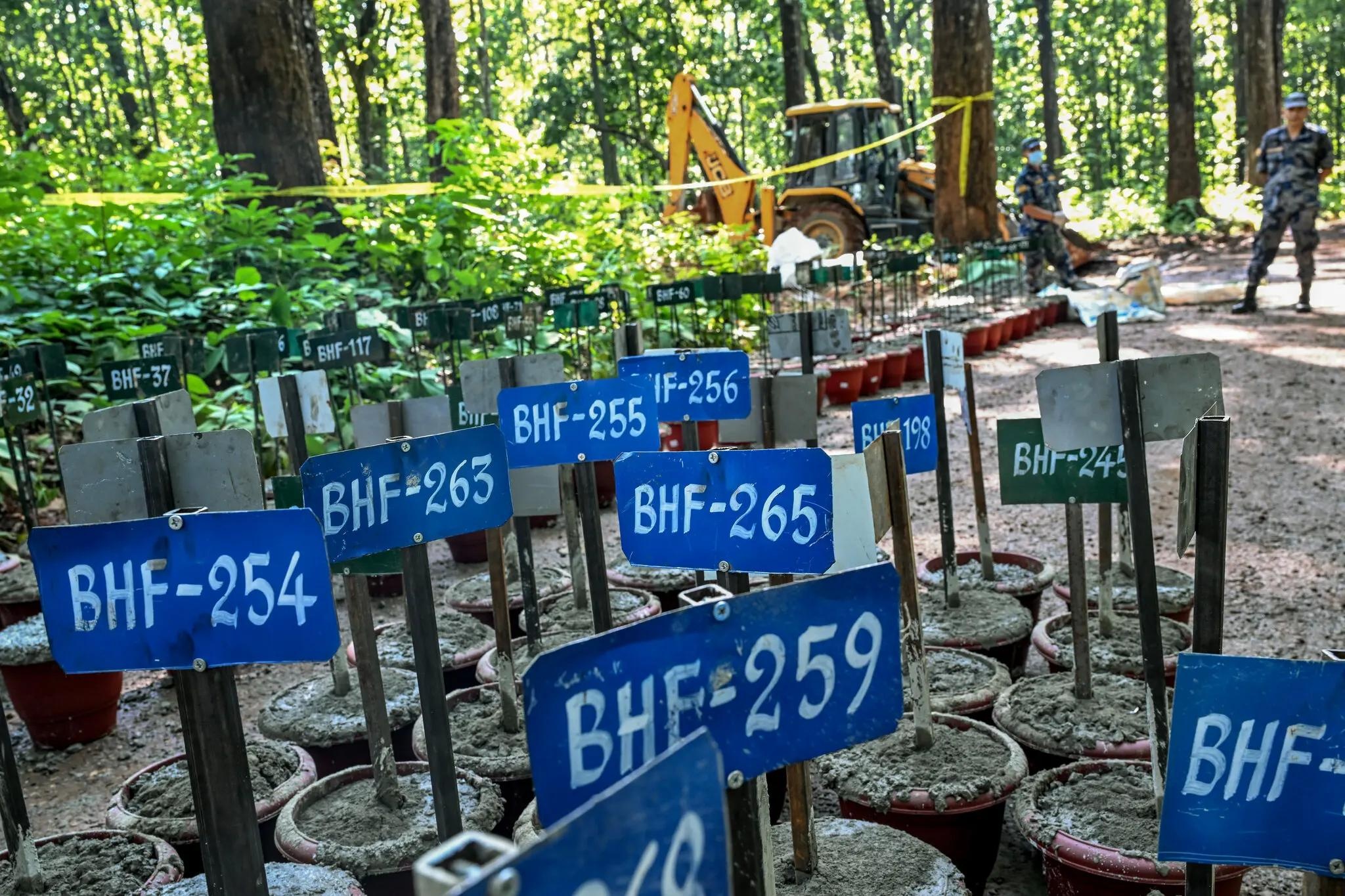 Nepal ảnh 7