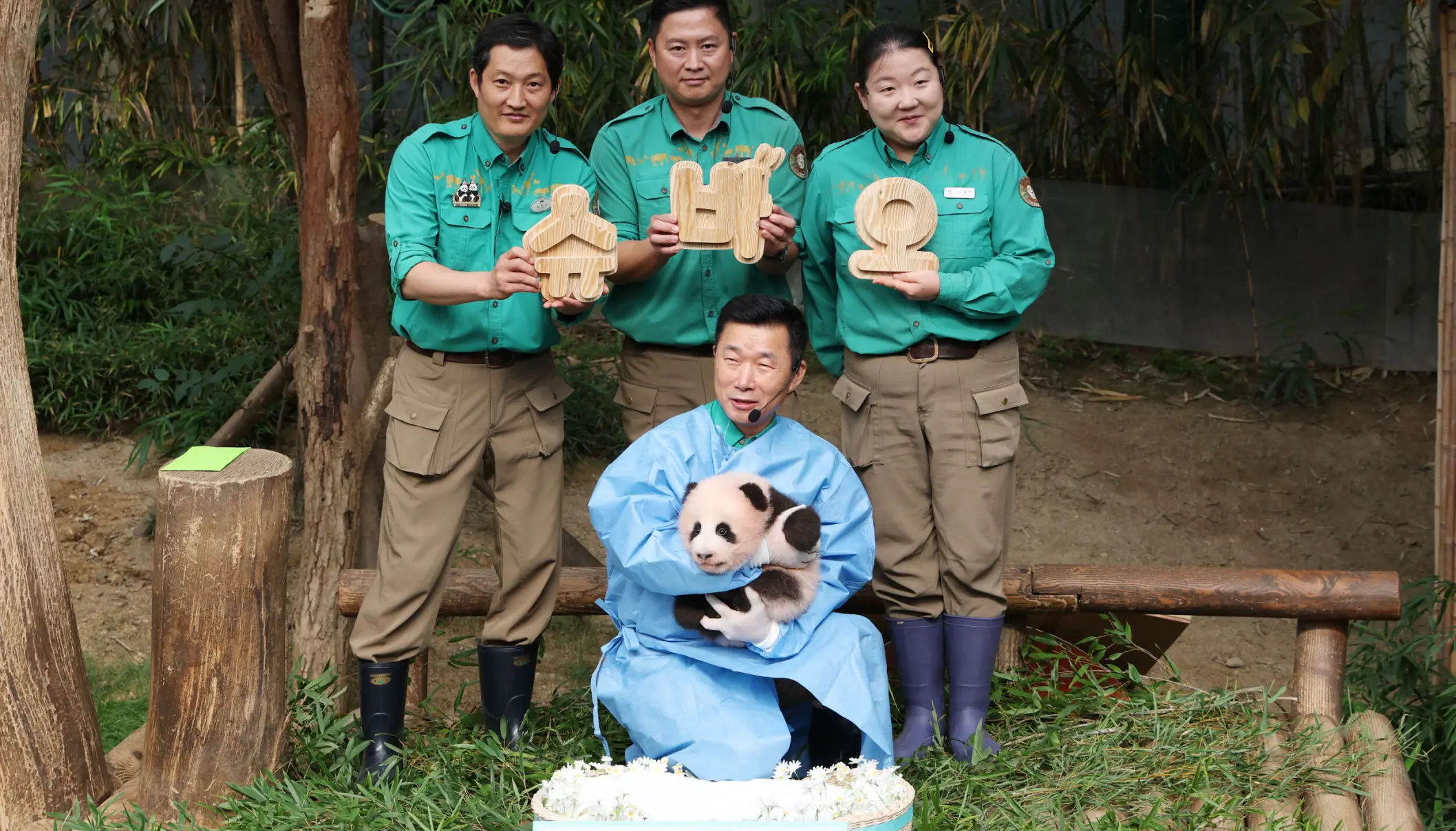 gấu tr&uacute;c ảnh 6