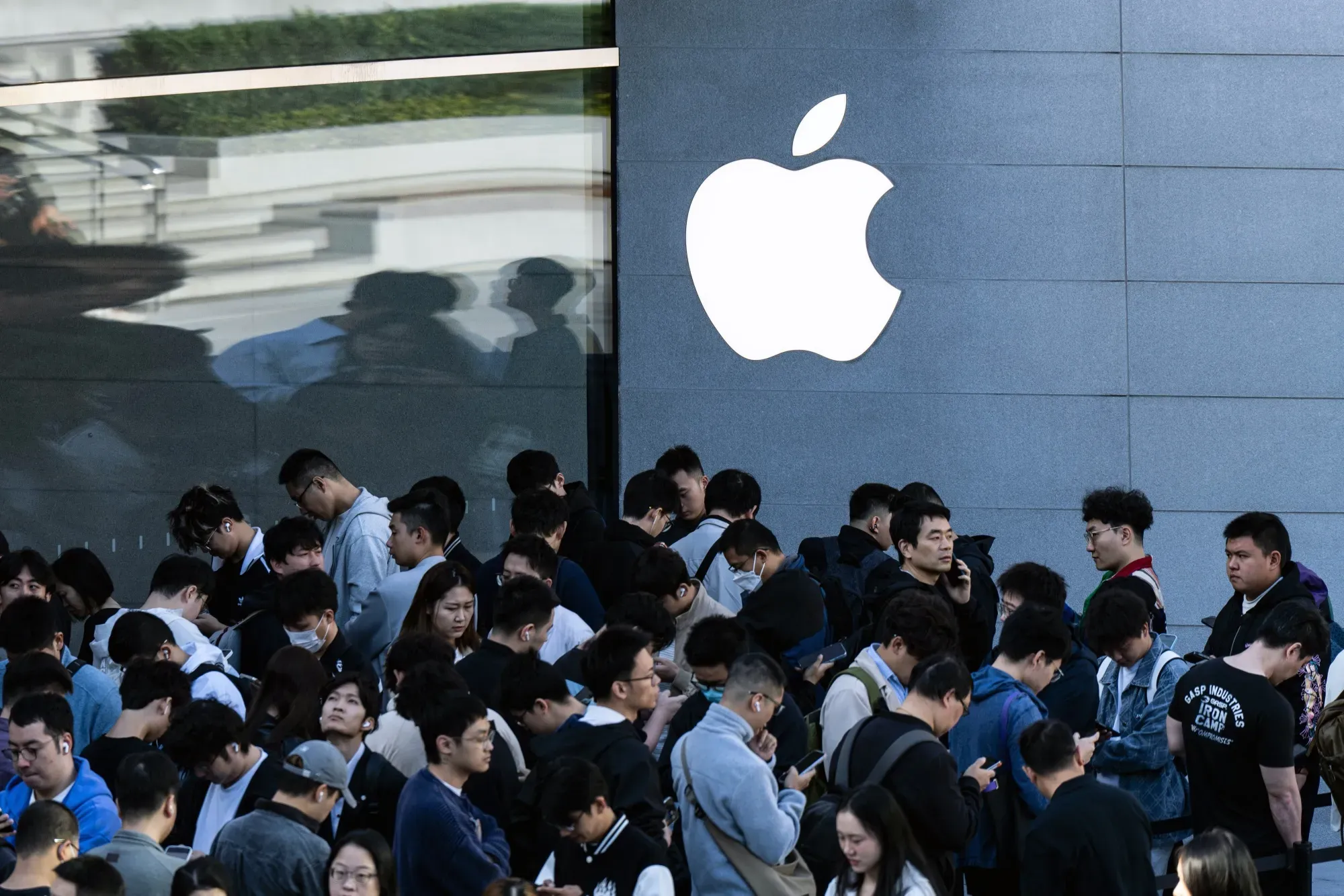 Apple ảnh 1