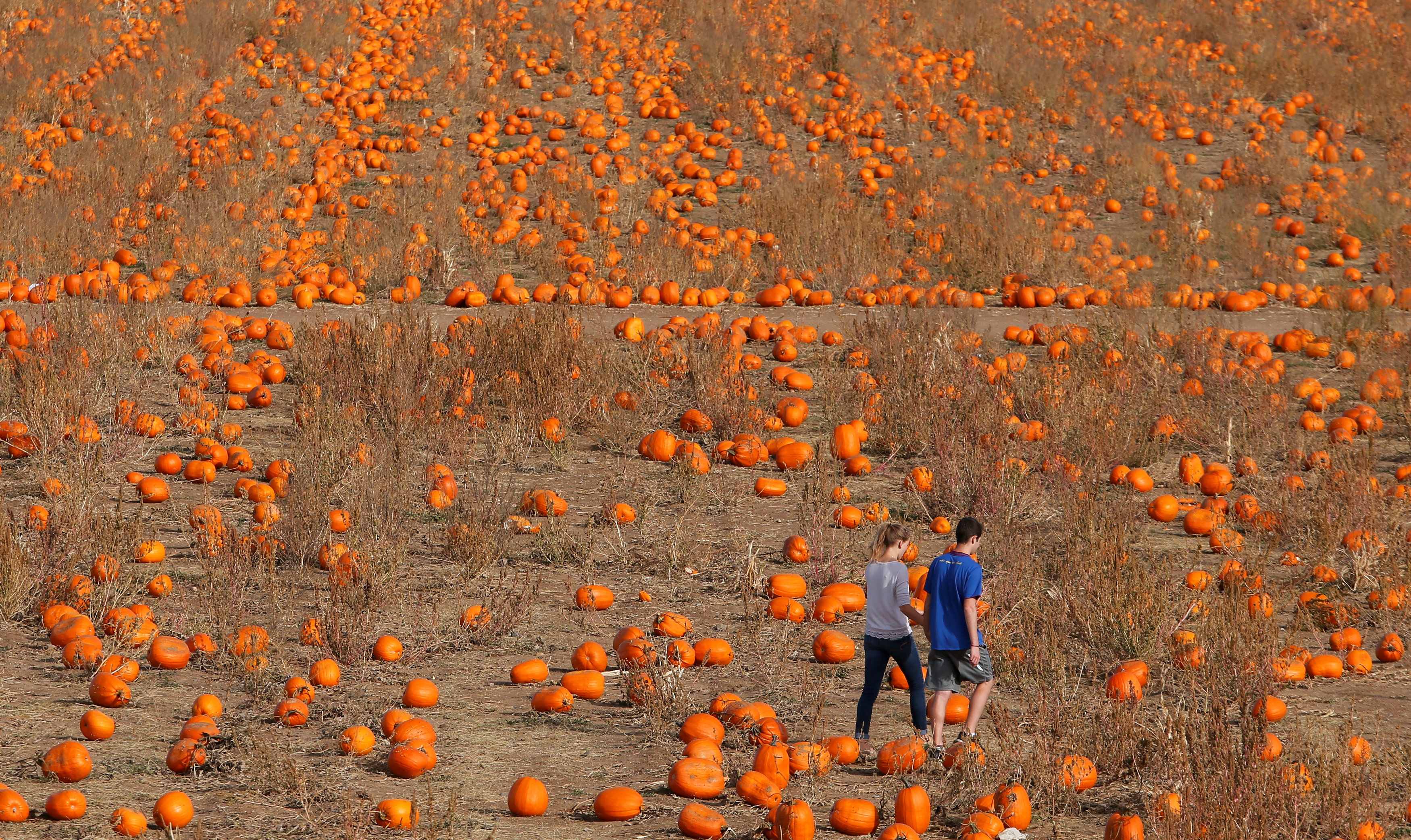 Bi ngo Halloween, mo Chua vao top anh an tuong cuoi thang 10 hinh anh