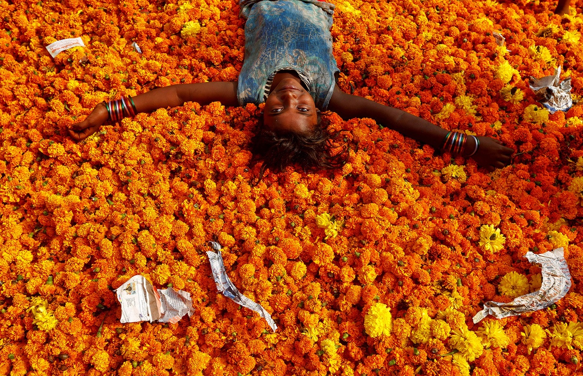 phap su cua tong thong Han Quoc anh 9