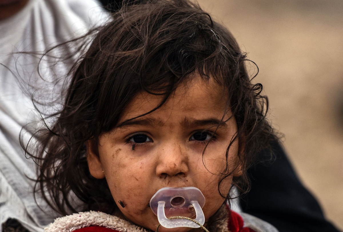 phap su cua tong thong Han Quoc anh 5