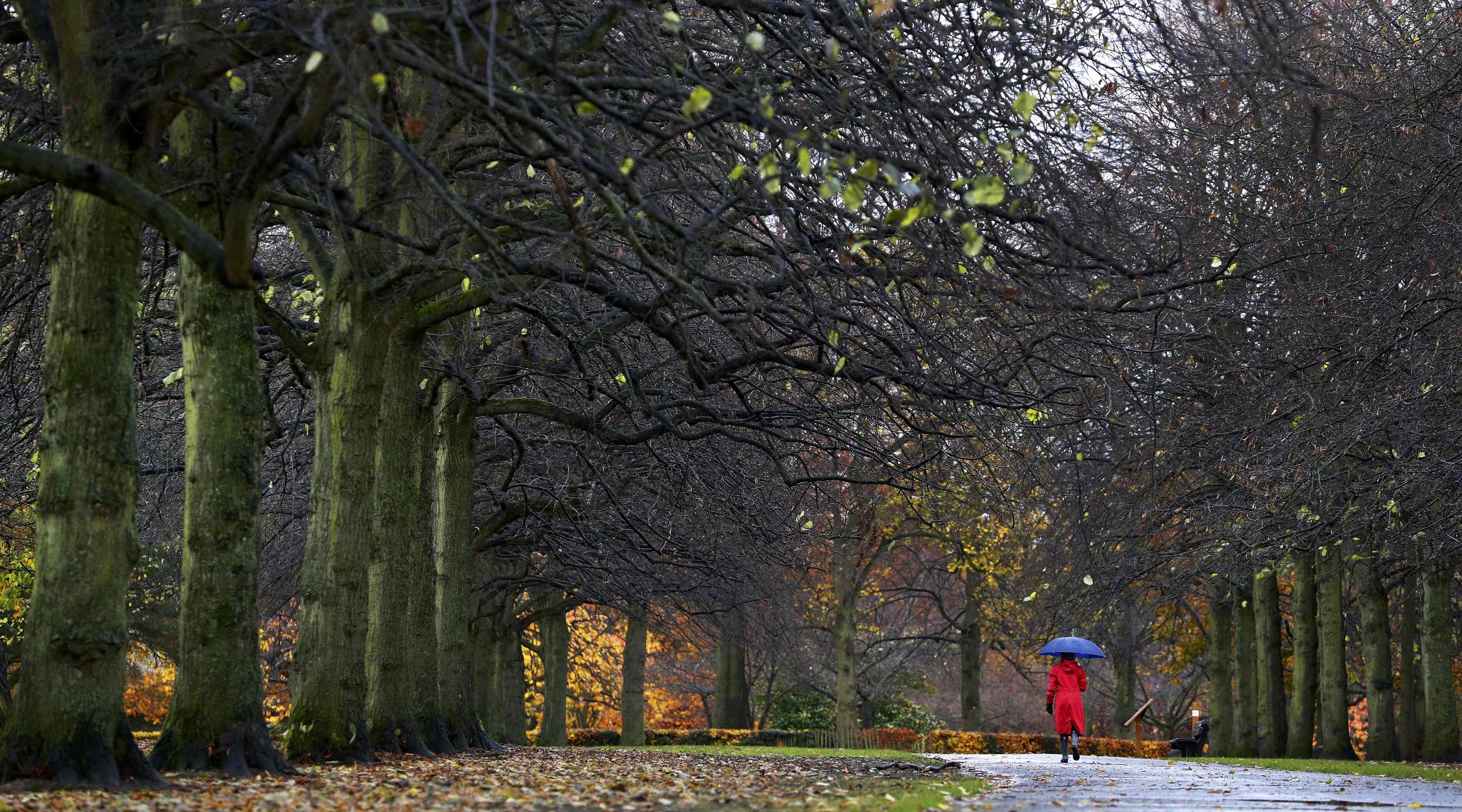 Thi dai hoc Han Quoc anh 12