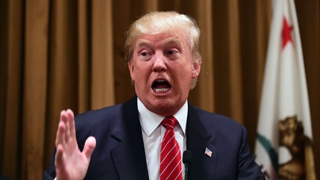 Donald Trump thành tổng thống Mỹ ảnh 1 Donald Trump thanh tong thong My anh 1