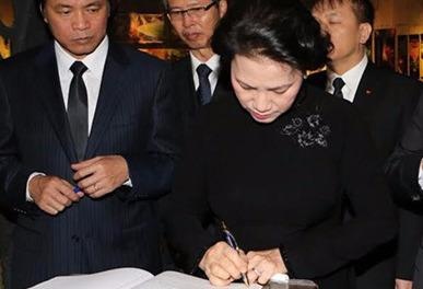 Chu tich Quoc hoi vieng lanh tu Fidel Castro o Havana hinh anh