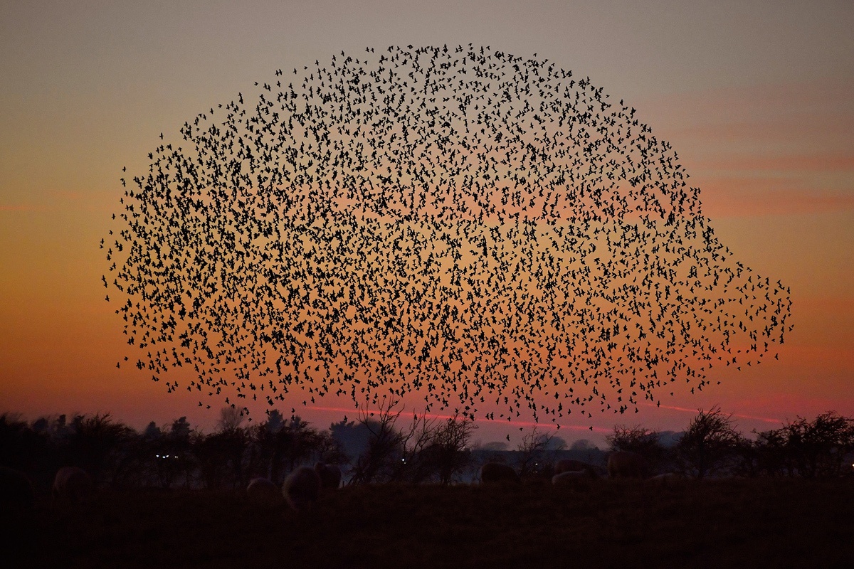 Anh noi bat trong tuan anh 13