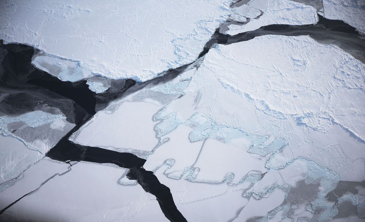 Nam 2016 qua anh anh 9