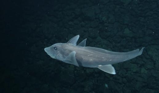 Lan dau quay phim duoc ca map ma bi an hinh anh