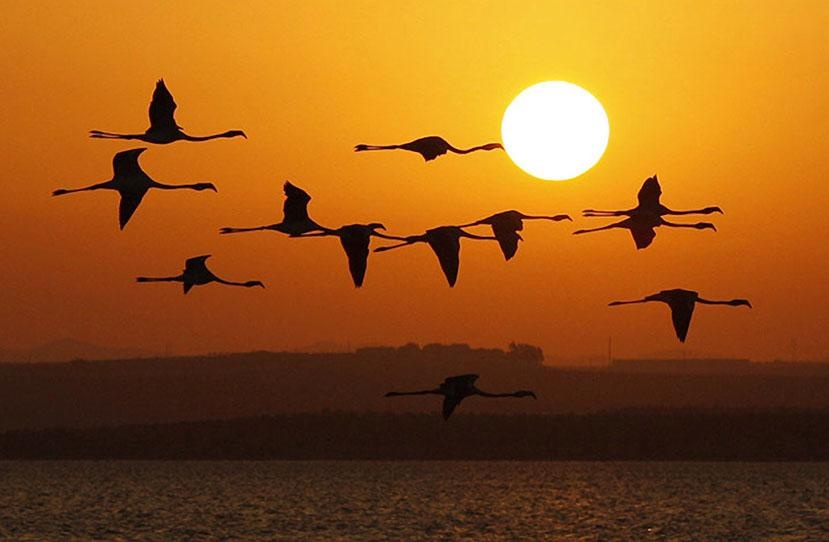 Viet Nam se co them mot giay trong nam 2017 hinh anh