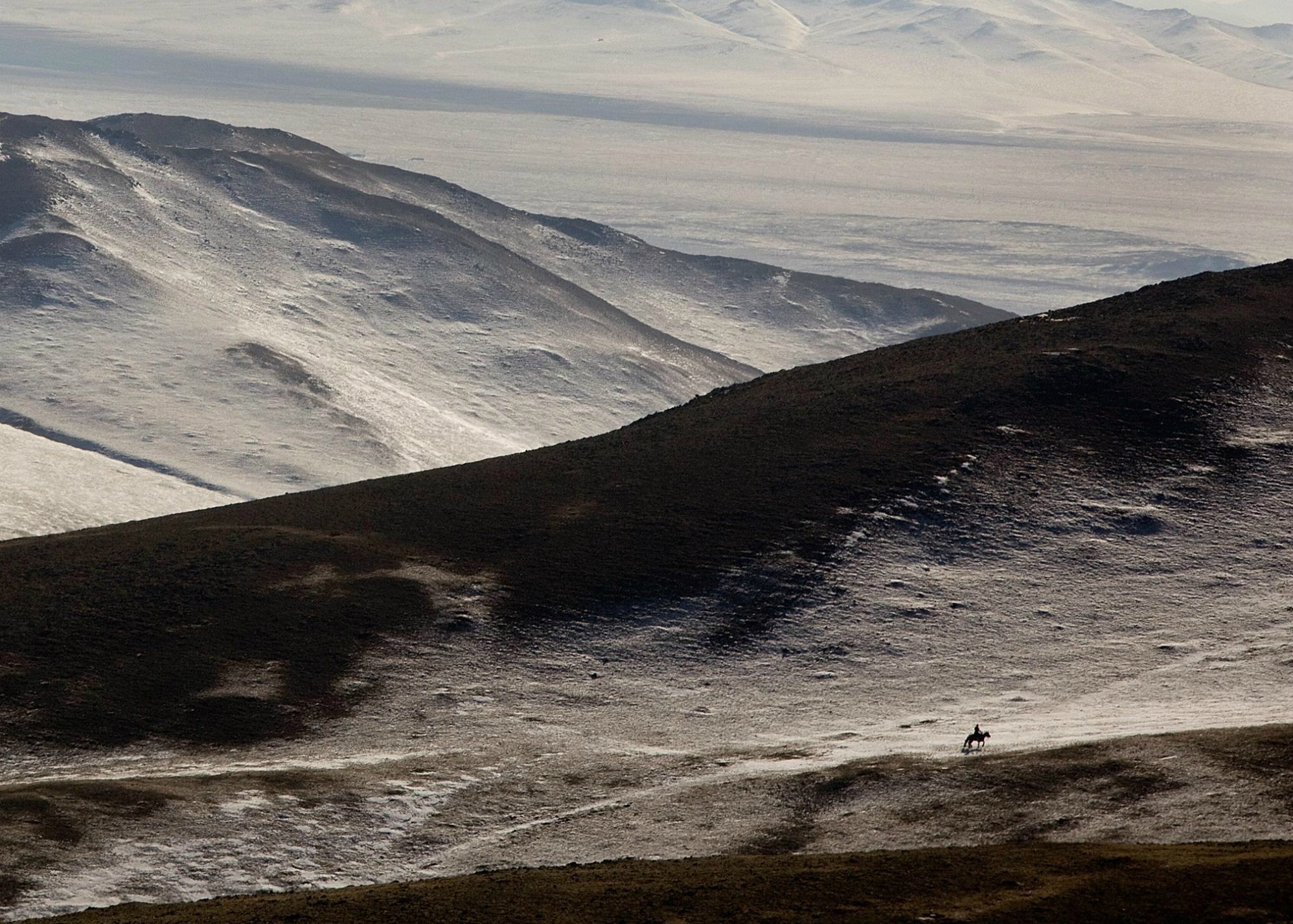 Mong Co khong con dan du muc anh 3