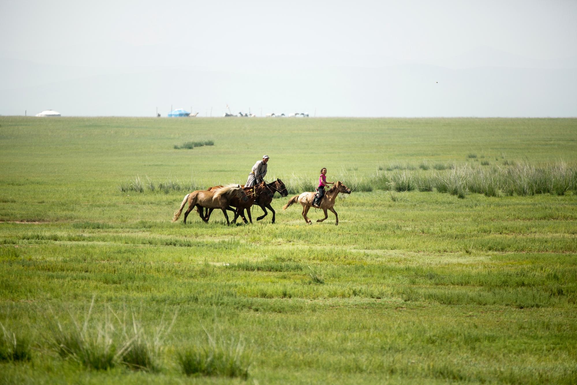 Mong Co khong con dan du muc anh 1