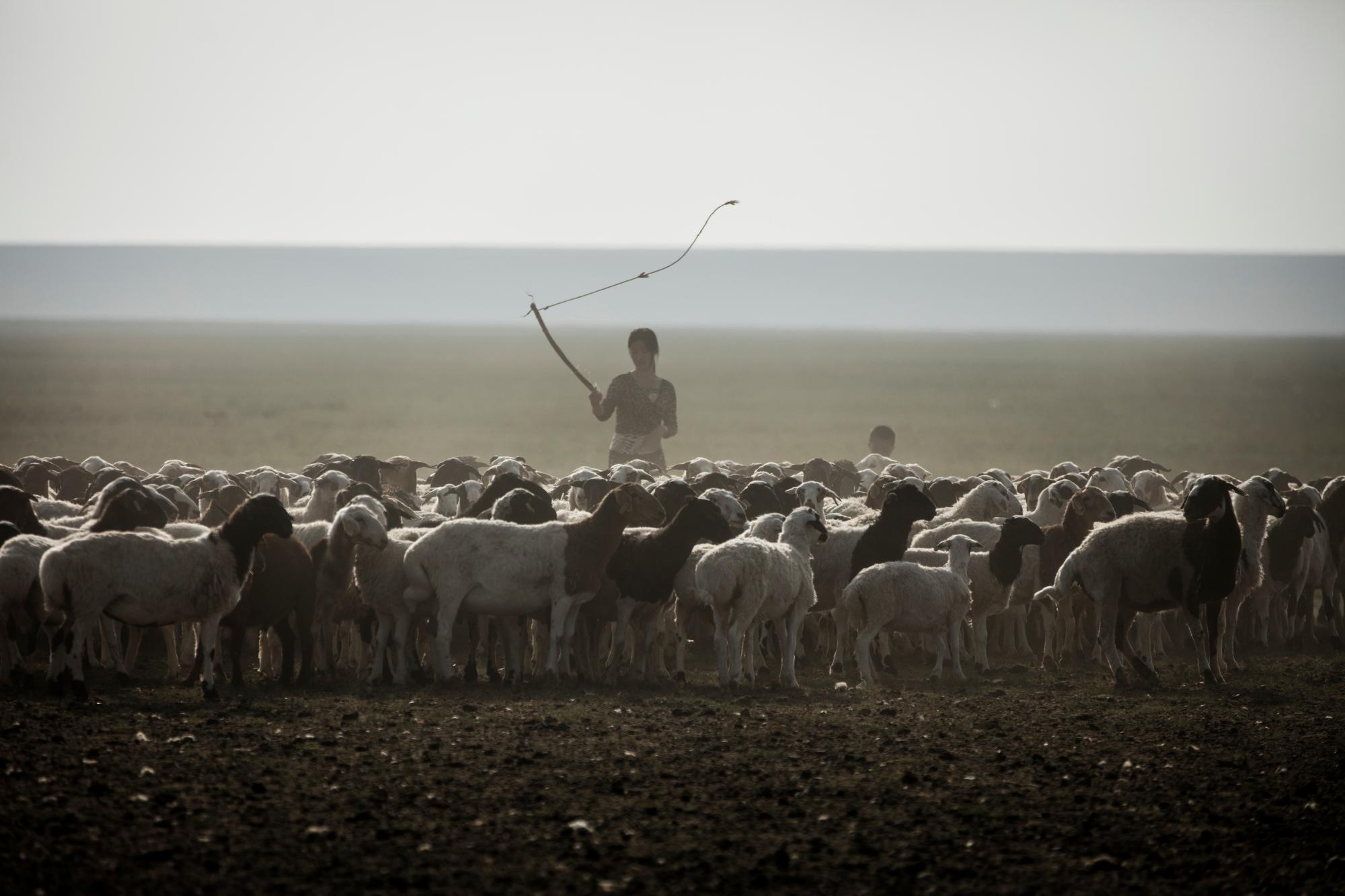 Mong Co khong con dan du muc anh 4