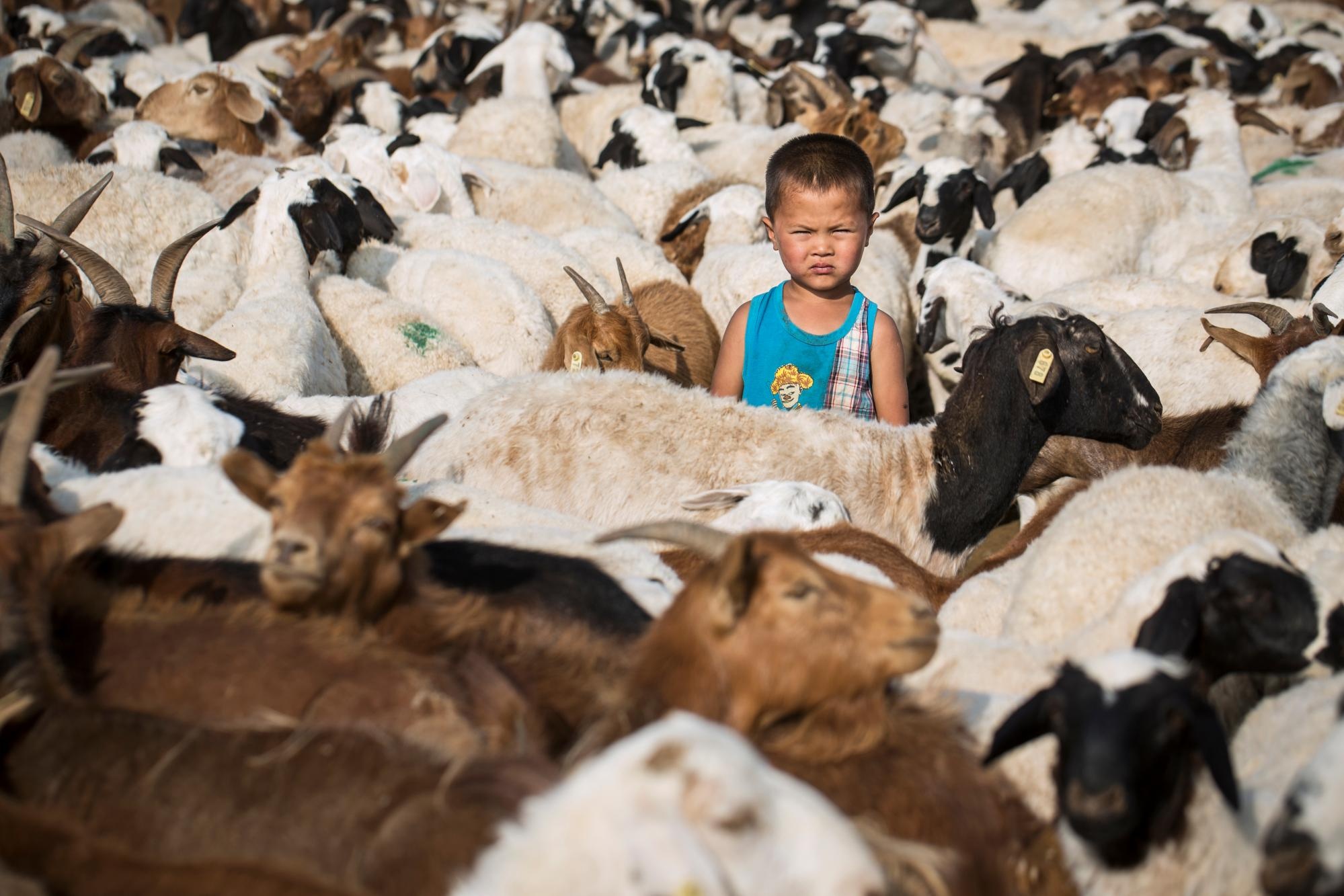 Mong Co khong con dan du muc anh 2