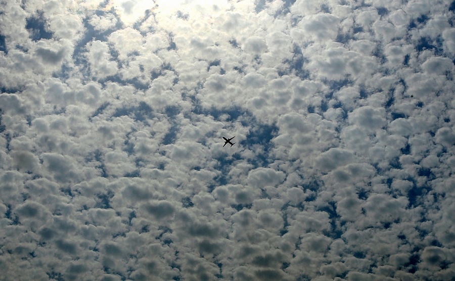 Anh noi bat trong tuan anh 11