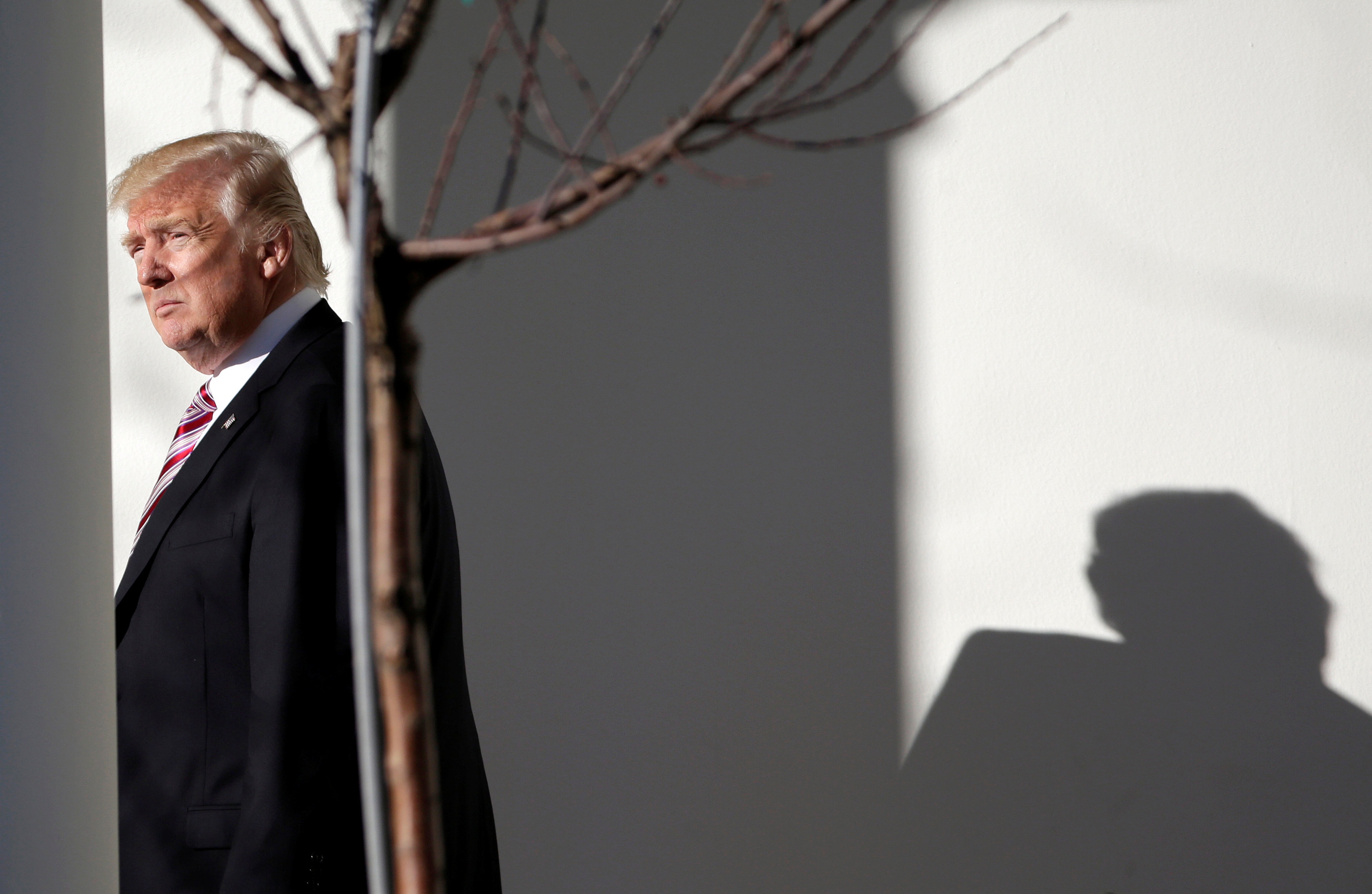 Mot tuan Donald Trump lam tong thong anh 3