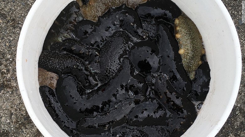 tho lan Nhat Ban anh 4