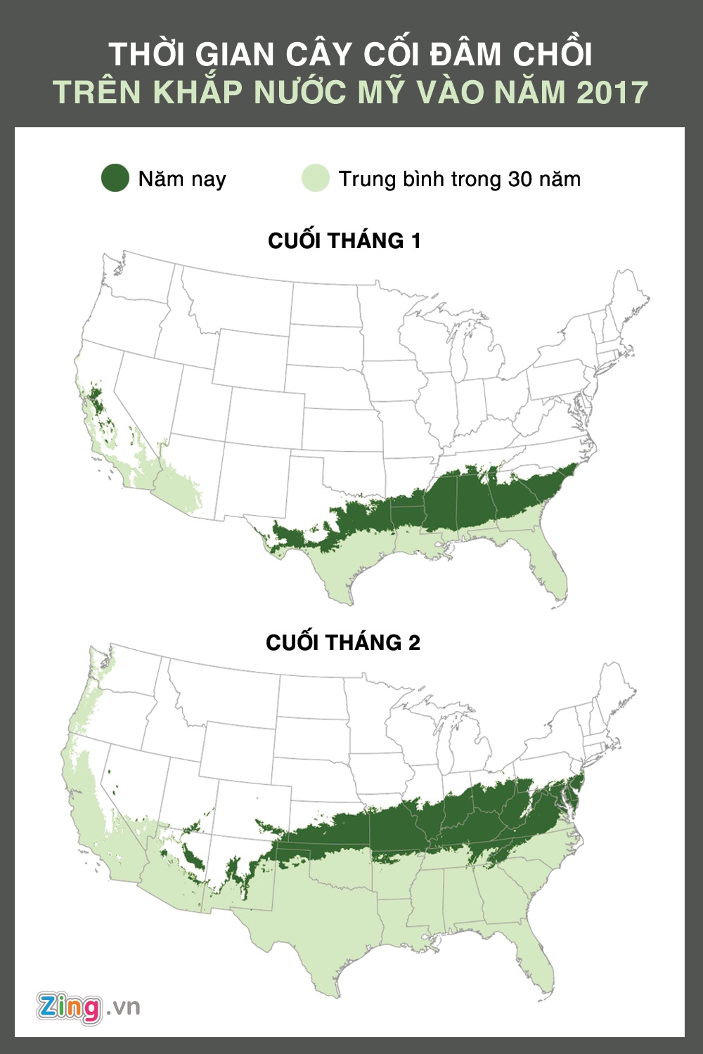 mùa xuân đến sớm ở Mỹ ảnh 2 mua xuan den som o My anh 2