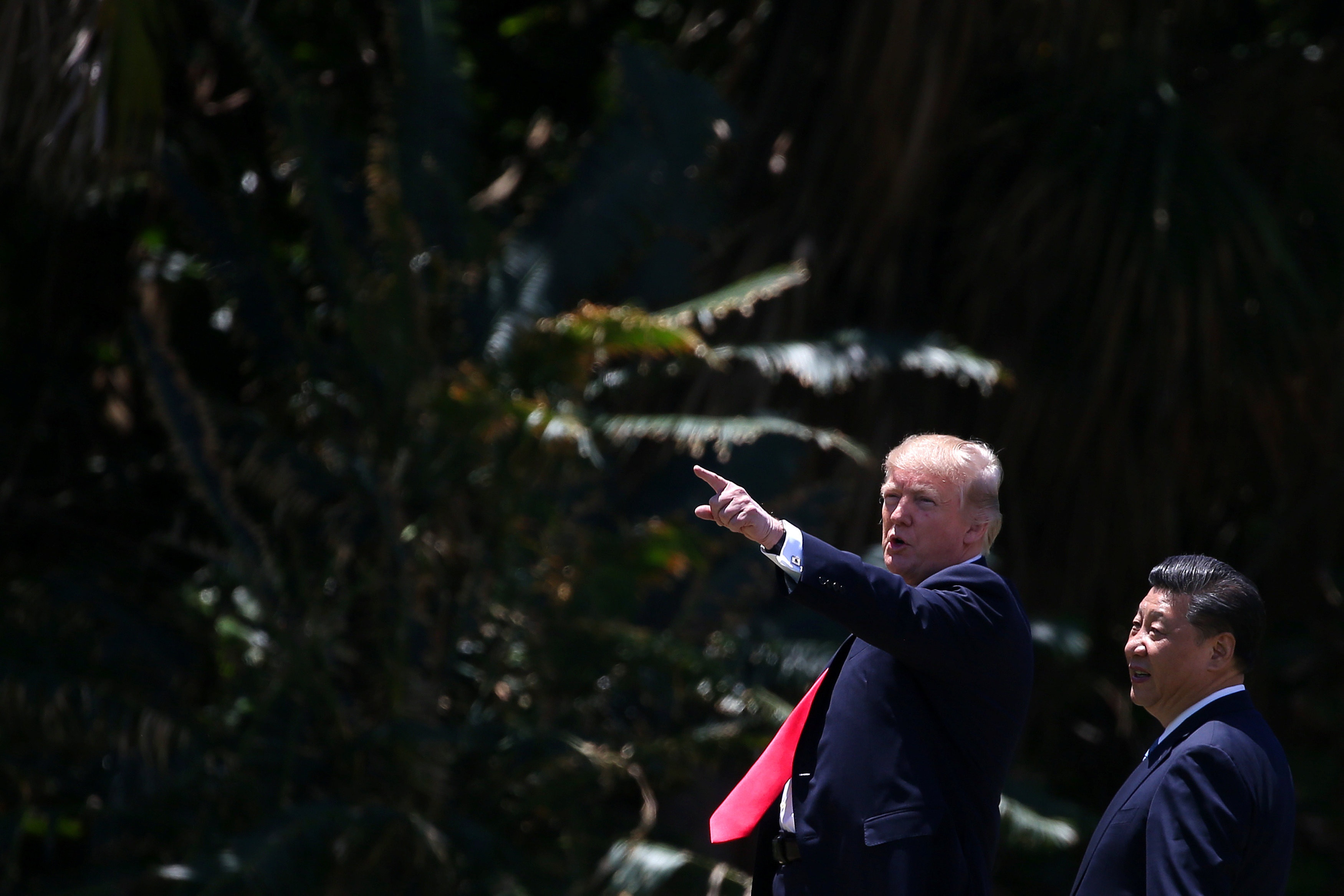 Trump - Tap gap nhau anh 5