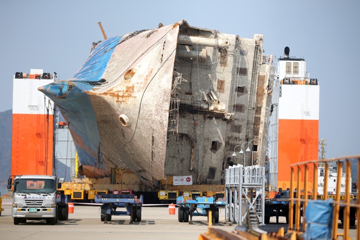 chim pha Sewol anh 2