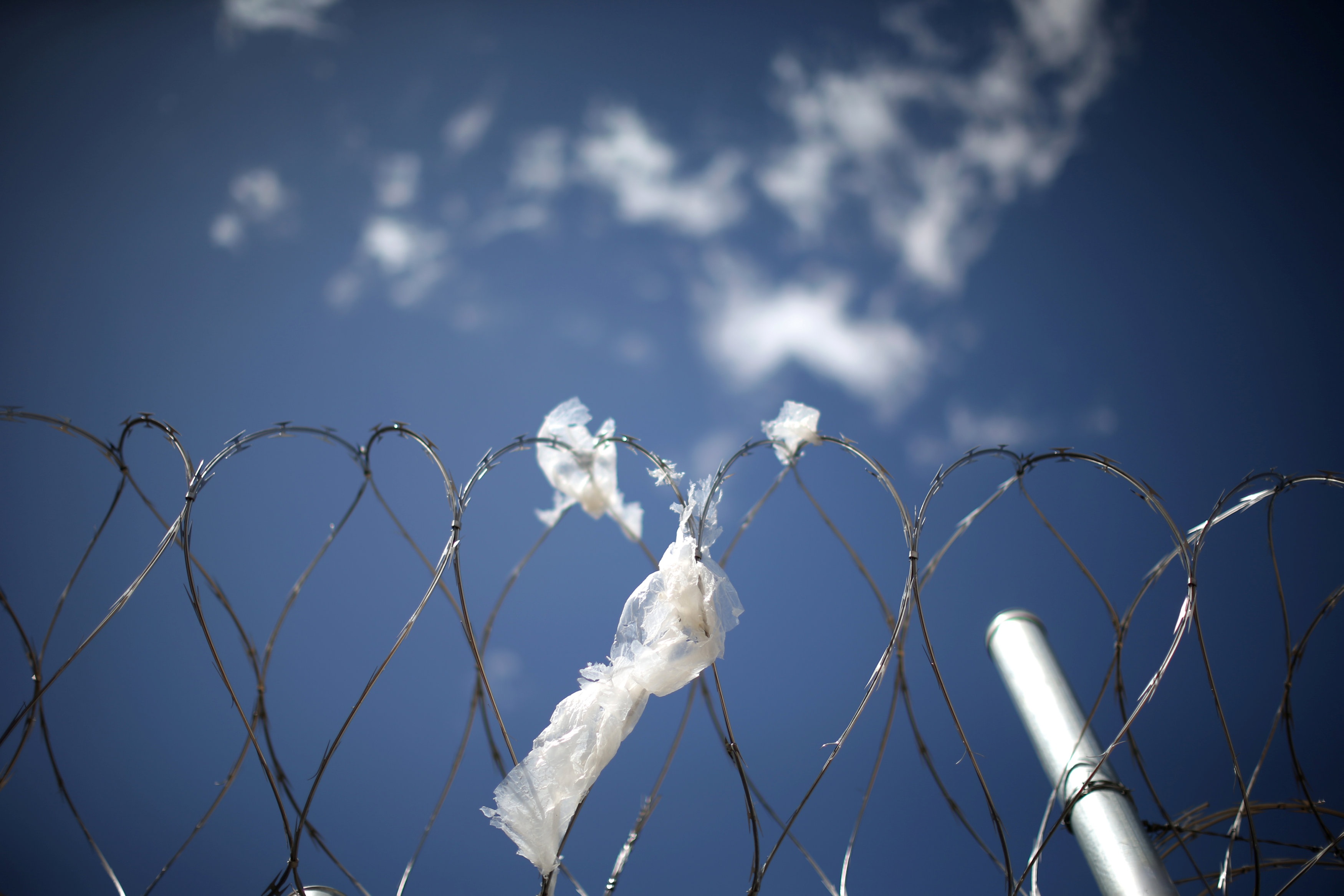 nhap cu vao My anh 16