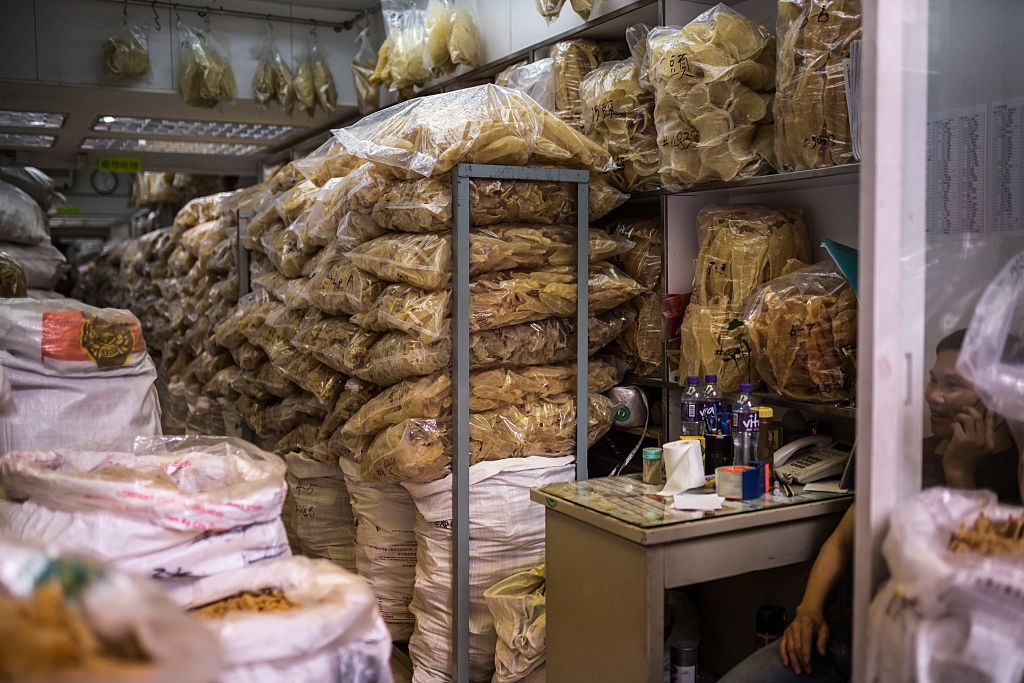 ca heo California tuyet chung anh 8