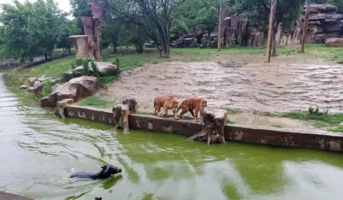 ho an song lua anh 2