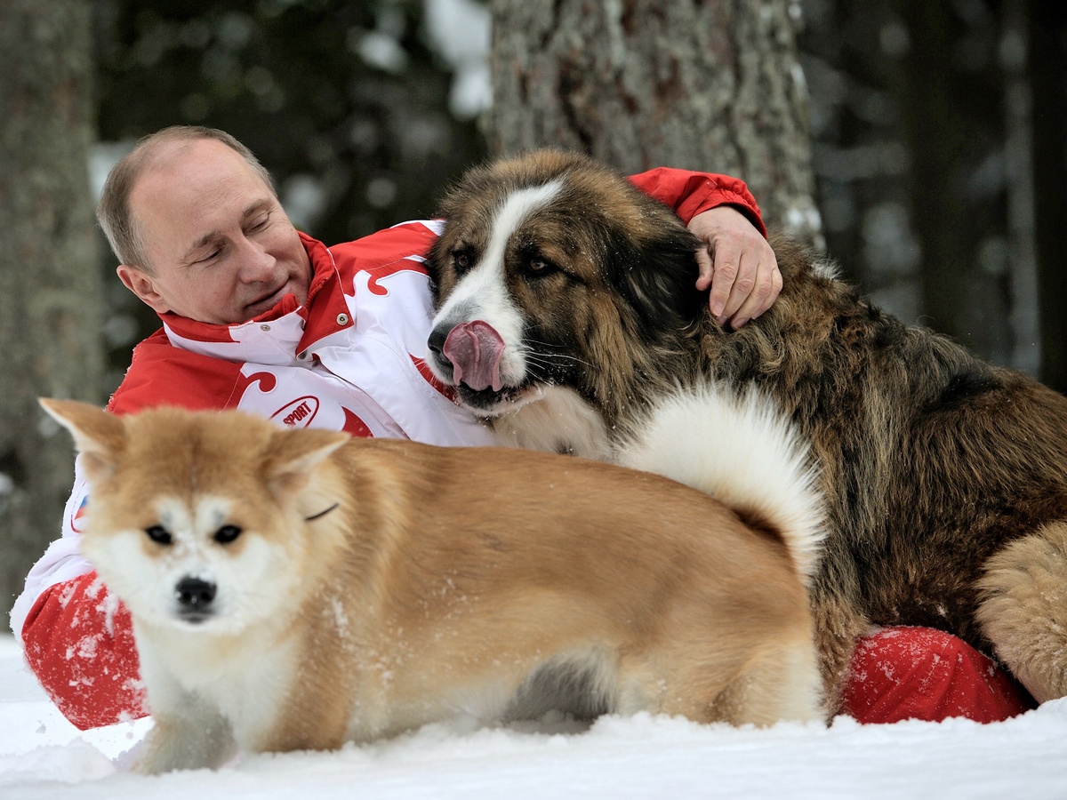 Qua tang ky la cho nguyen thu: Tu rang ca den lac da hinh anh