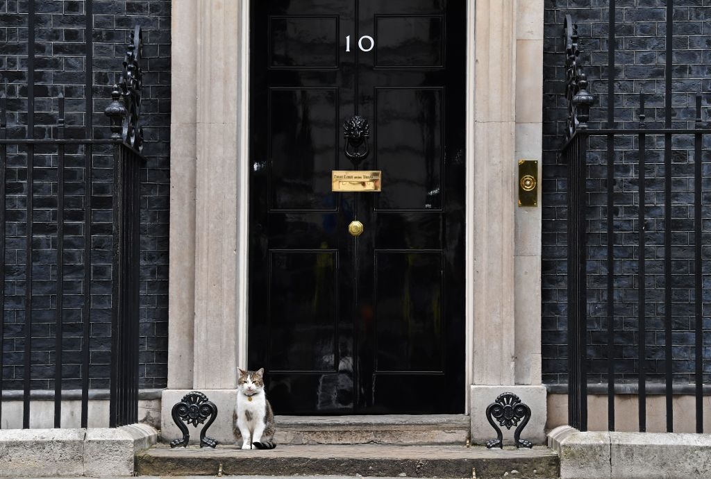 meo trong dinh thu tuong Anh anh 4