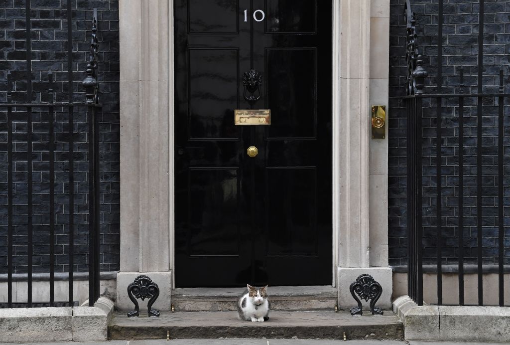 meo trong dinh thu tuong Anh anh 1