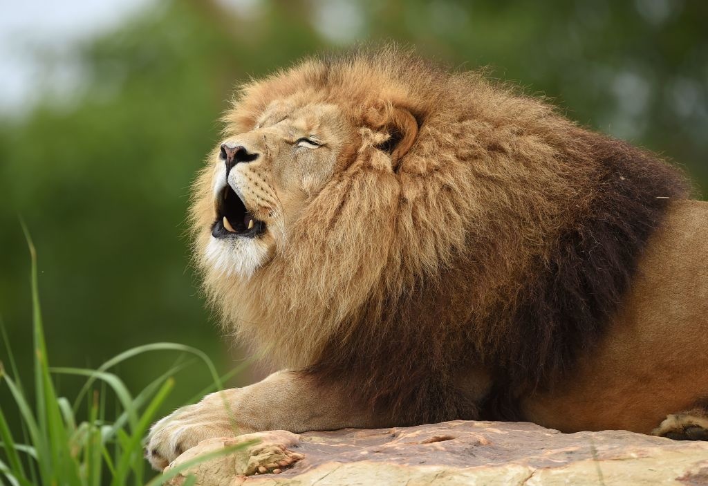 Trai Dat dang o trong dot 'dai tuyet chung' thu 6 hinh anh