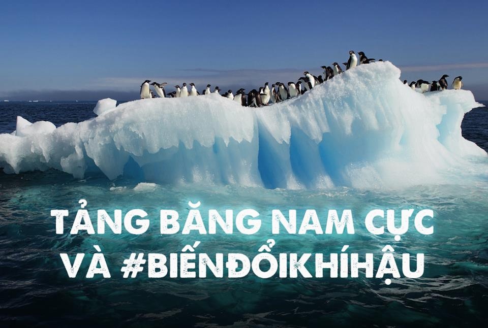 Hashtag tuan qua: Tang bang nghin ty tan va bien doi khi hau hinh anh