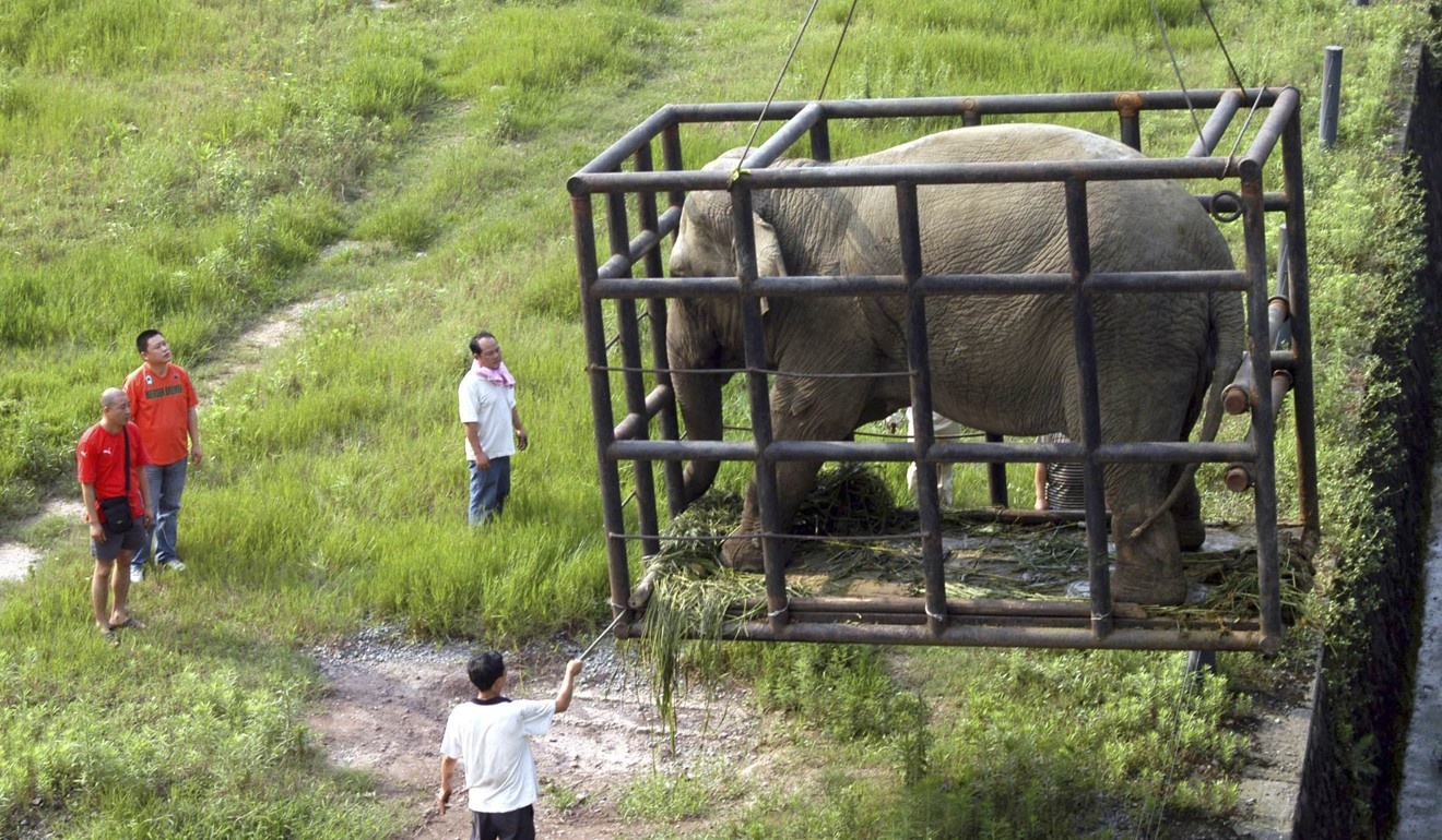 So thu Trung Quoc mua voi bat hop phap tu Lao hinh anh