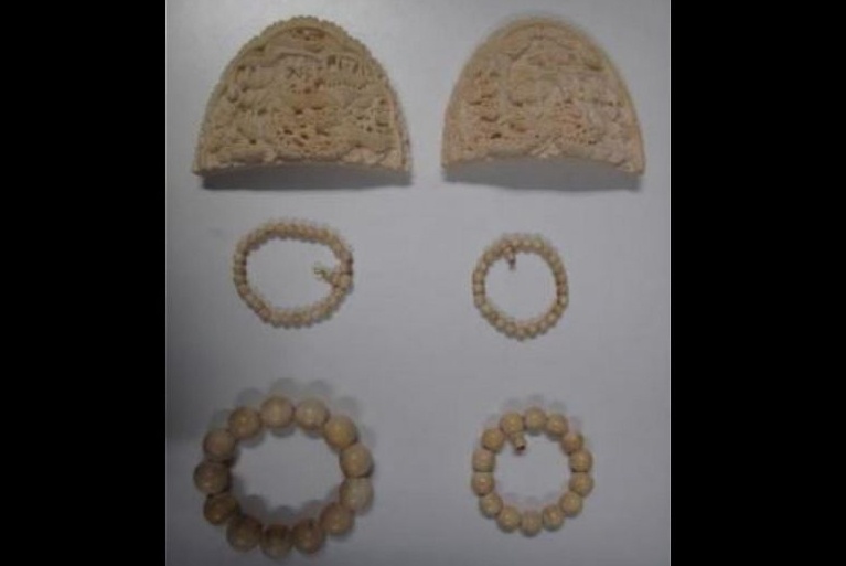 Dua do nga voi vao Singapore, mot nguoi Viet bi phat 7.000 USD hinh anh